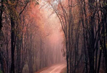 [网球]布云朝克特止步ATP250蒙彼利埃站男单八强.：江南体育