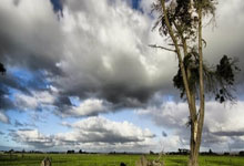 疯狂的足球外网200万观看热帖:这支阿森纳怎么赢足总杯的?.:江南体育